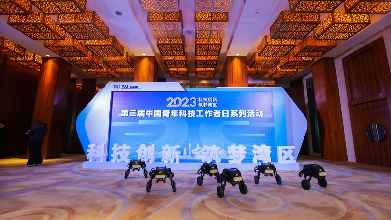 医药研发外包：如何规避潜在风险，确保项目成功**